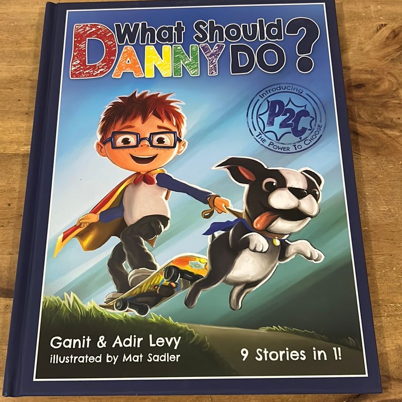 What Should Danny Do?