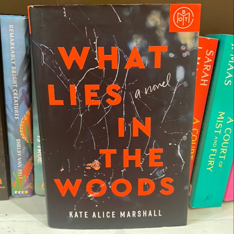What Lies in the Woods
