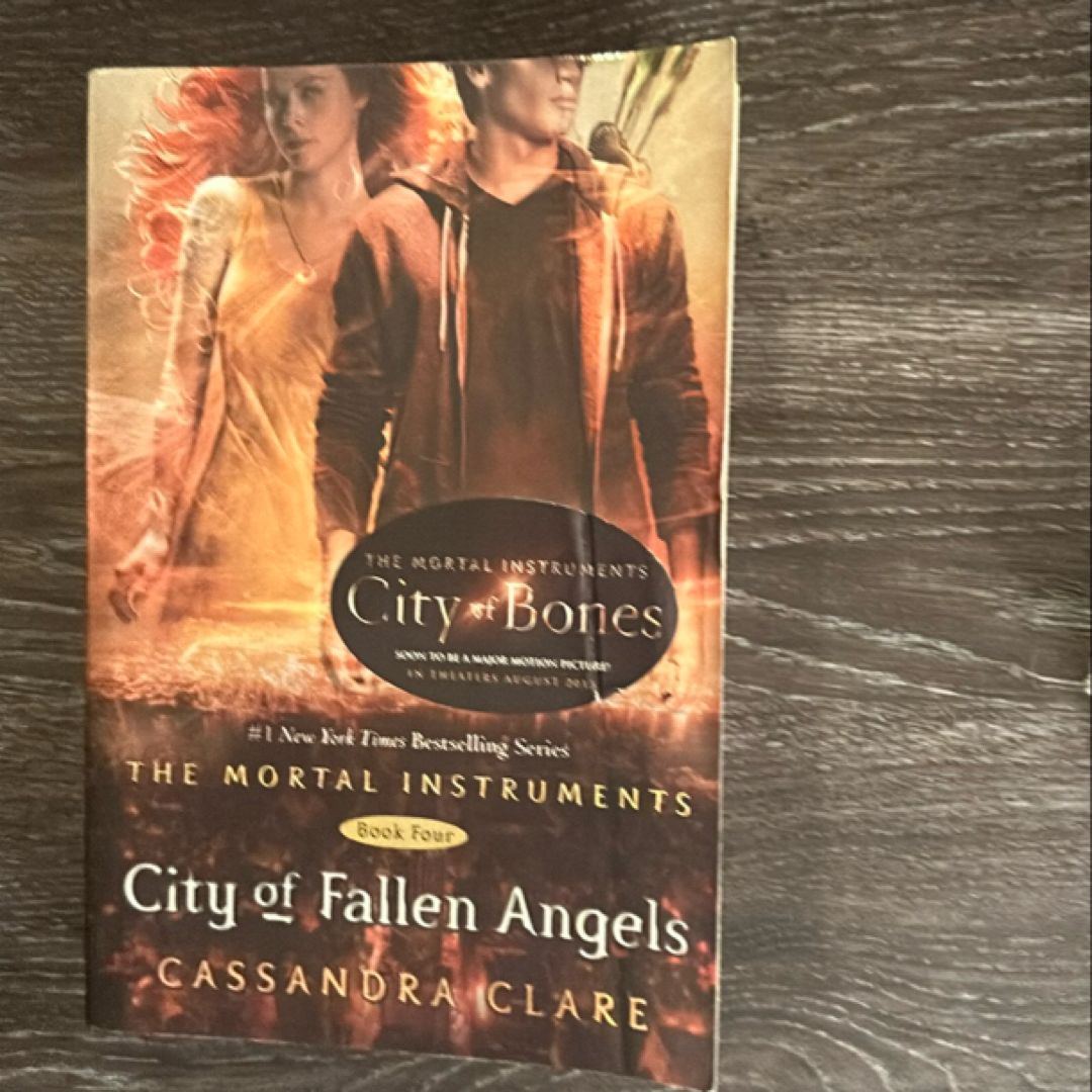 City of Fallen Angels