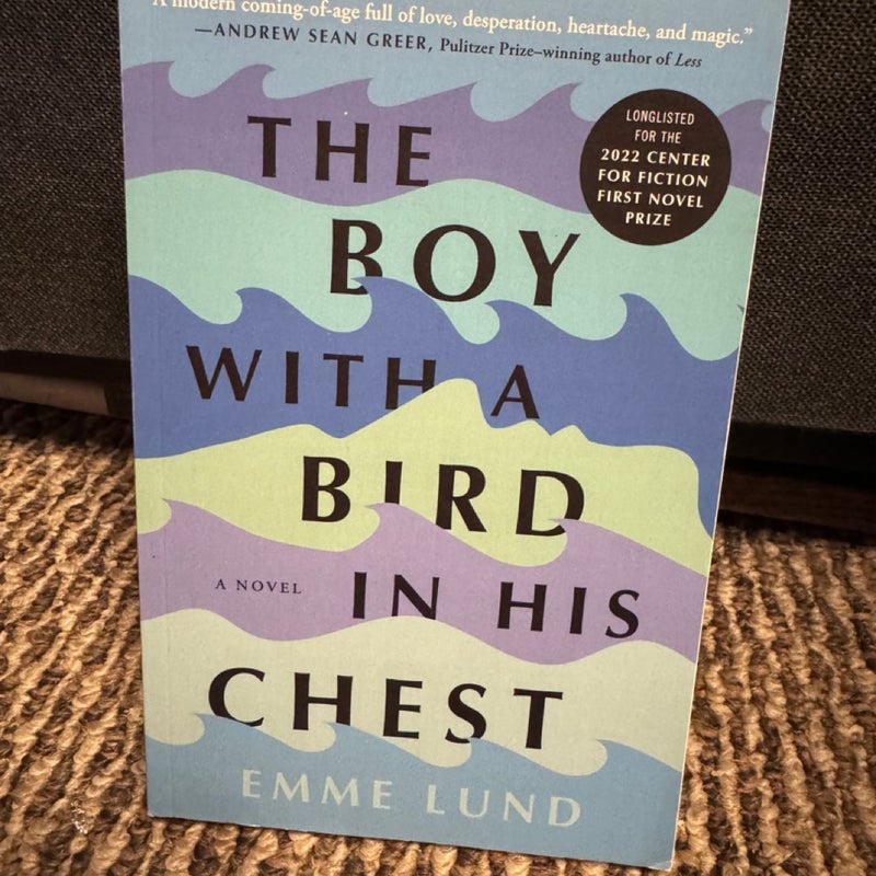 The Boy With a Bird in his chest 