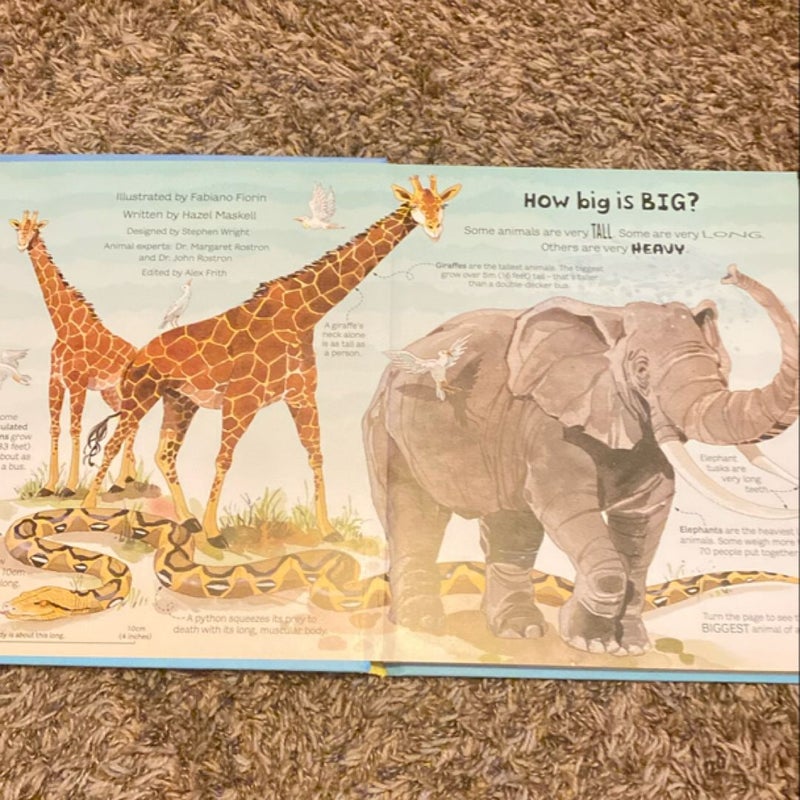 Big Book of Big Animals