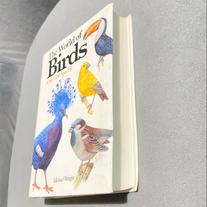 The World of Birds