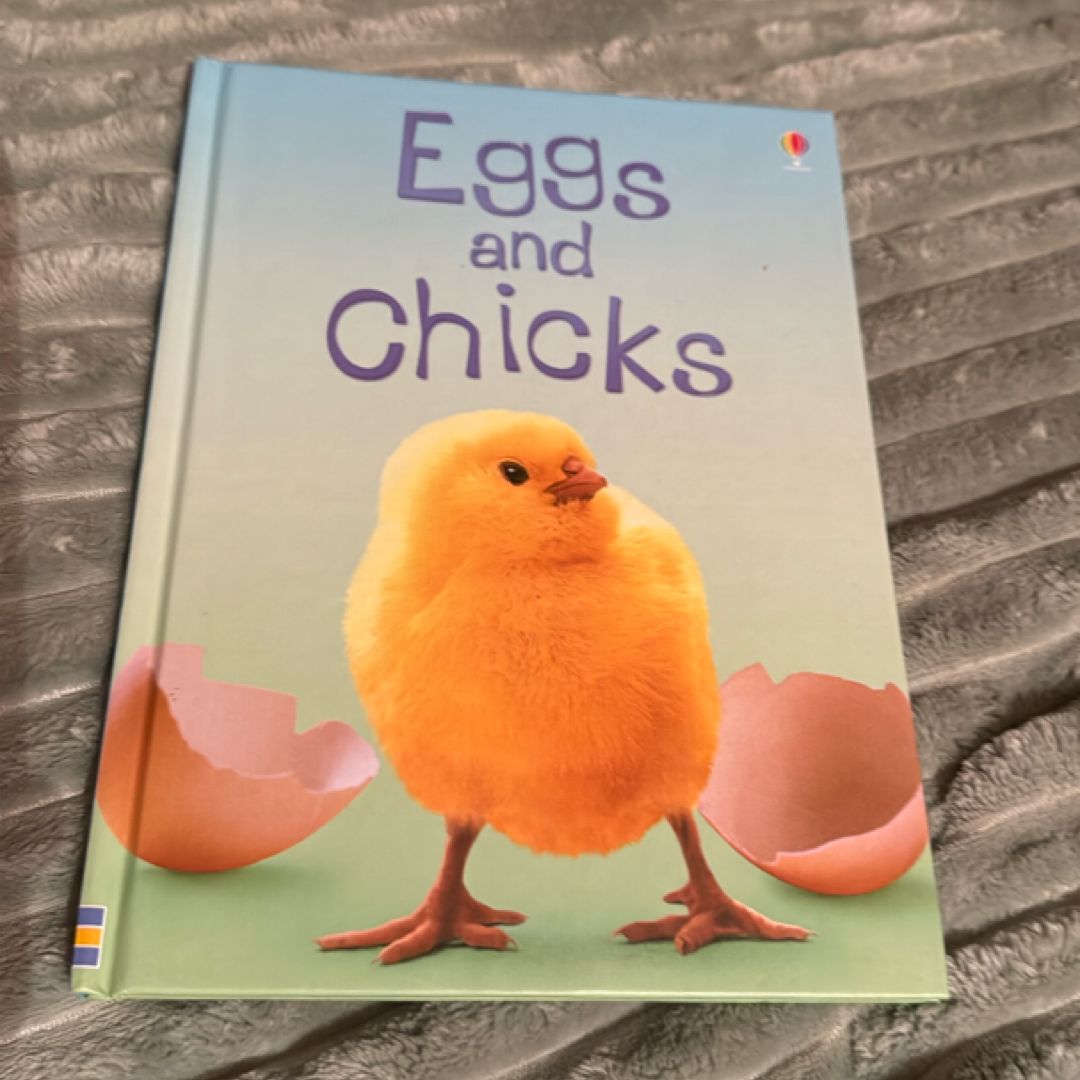 Eggs and Chicks