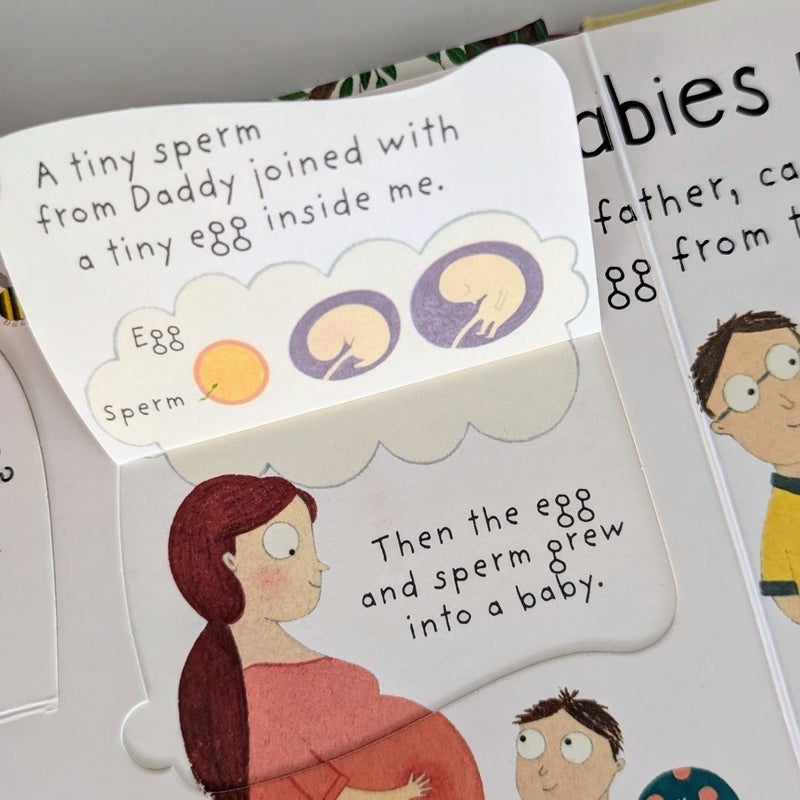 Lift-The-Flap First Questions and Answers Where Do Babies Come From?