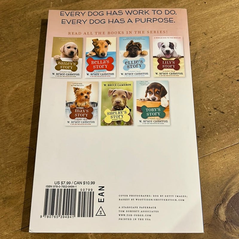 Molly's Story