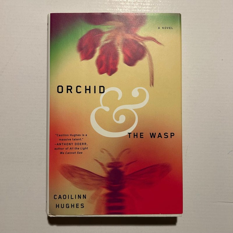 Orchid and the Wasp