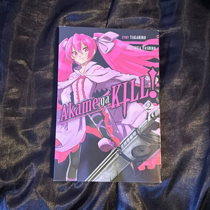 Akame Ga KILL!, Vol. 2