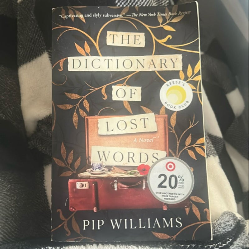 The Dictionary of Lost Words
