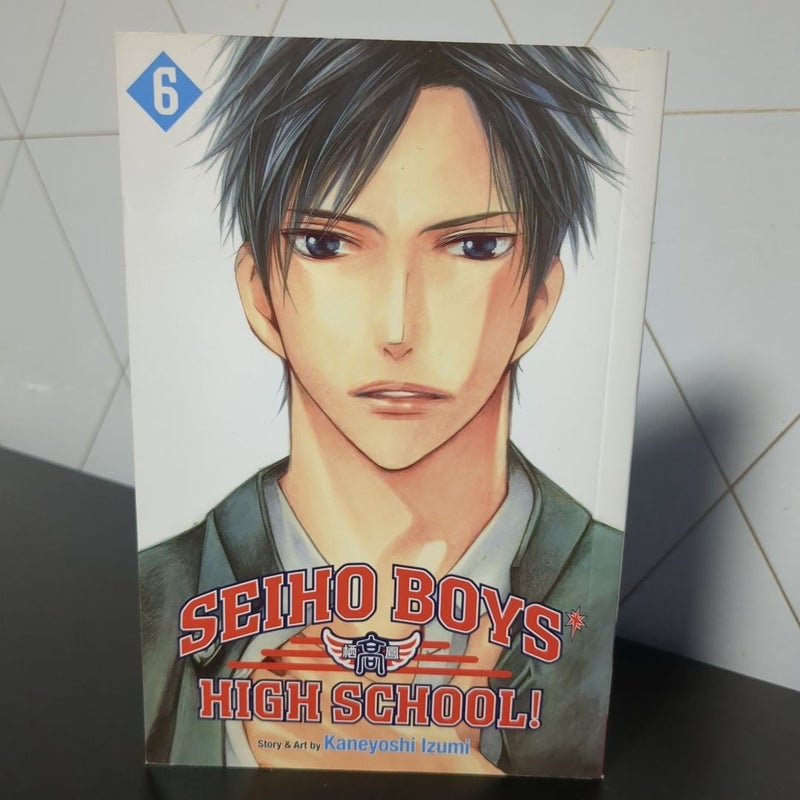 Seiho Boys' High School!, Vol. 6