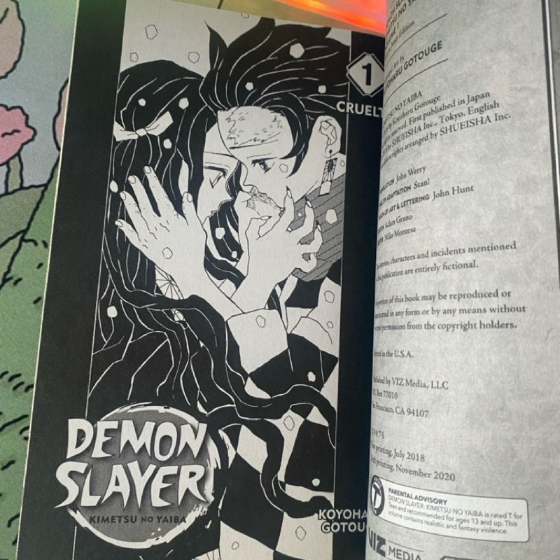 Demon Slayer: Kimetsu No Yaiba, Vol. 1