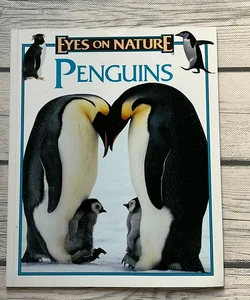 Eyes on nature penguins