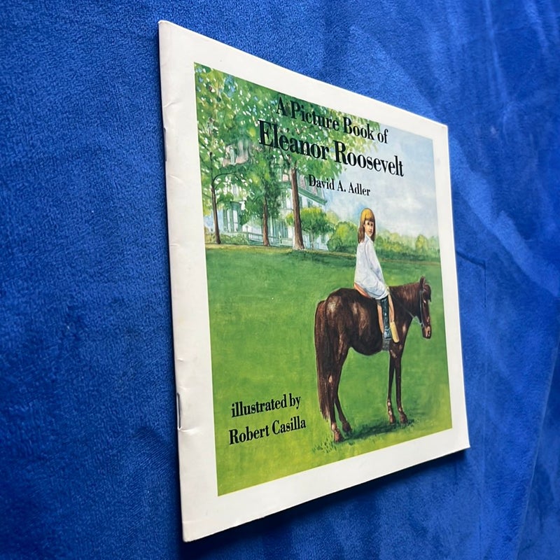 A Picture Book of