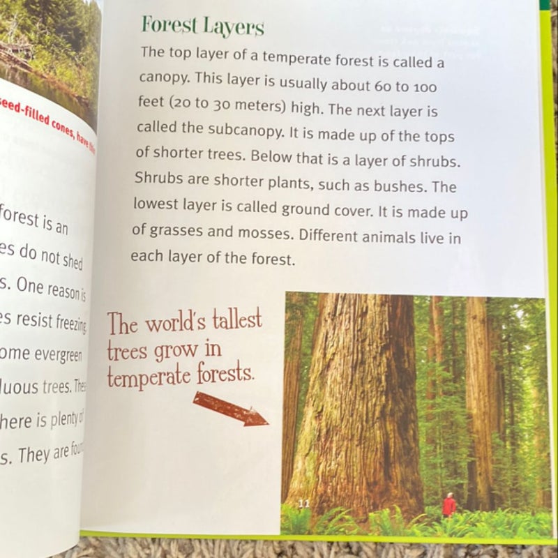 Temperate Forests