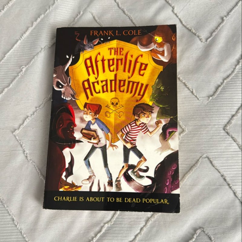 The Afterlife Academy