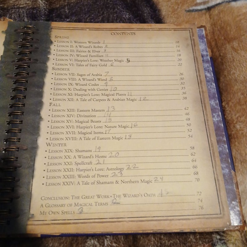 The Wizardology Handbook