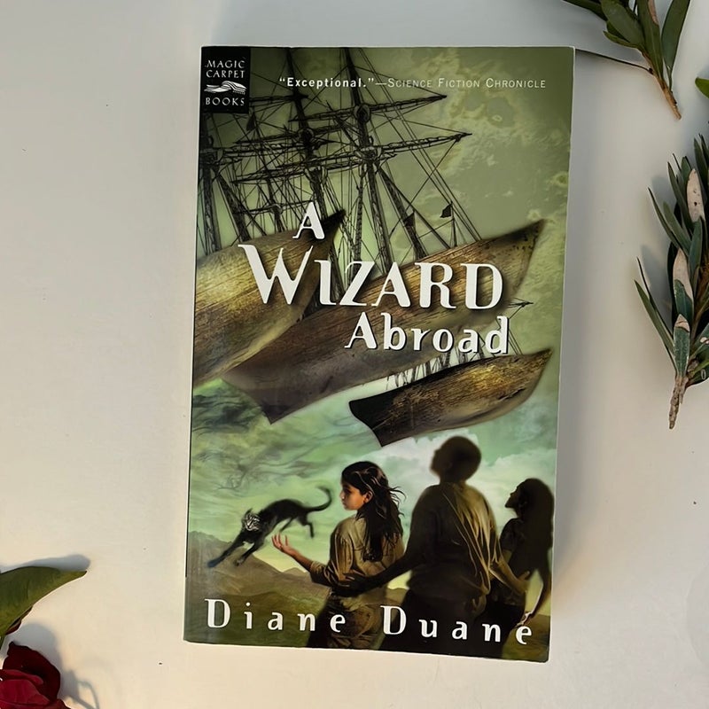 A Wizard Abroad