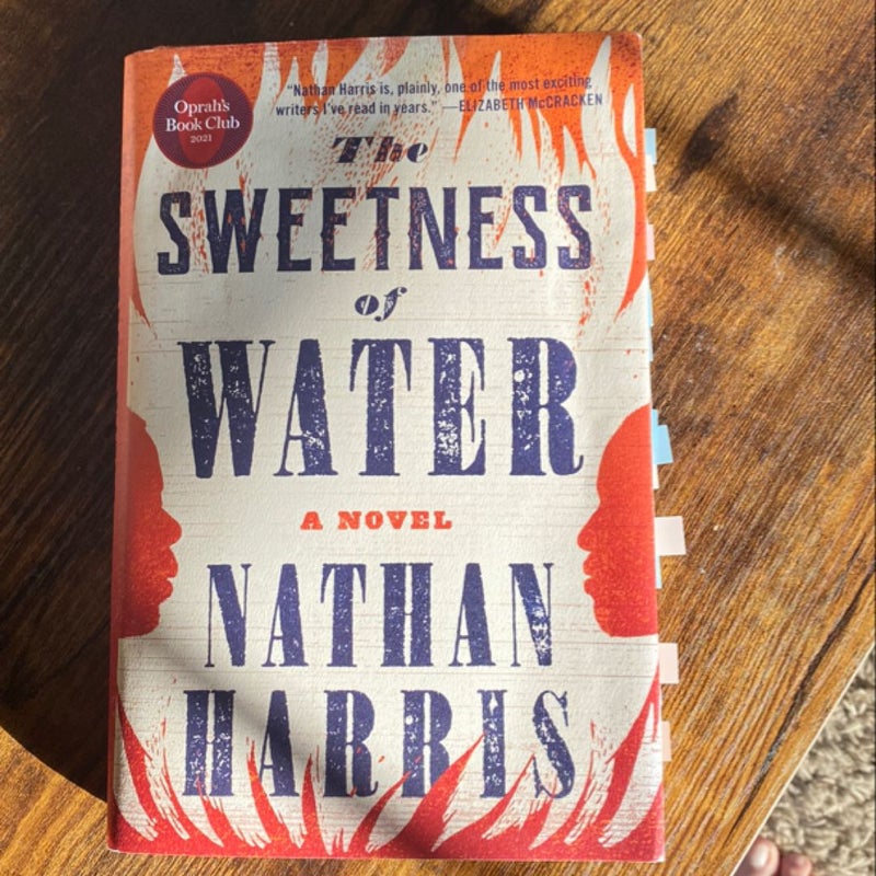 The Sweetness of Water (Oprah's Book Club)