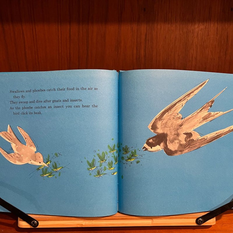 Lot of 10 Vintage Children’s Books - Let's Read and Find out Science Books