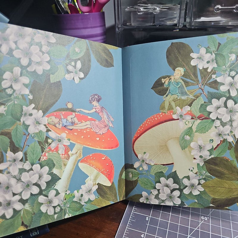 The Forests, Fairies and Fungi Sticker Anthology [Book]