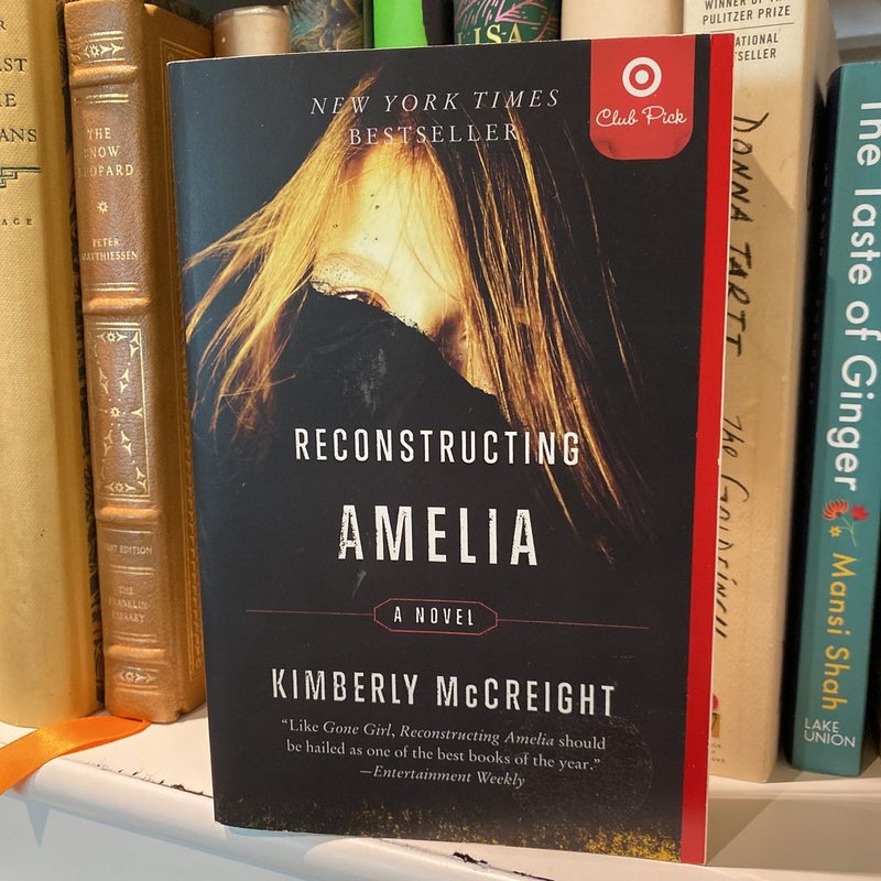 Reconstructing Amelia