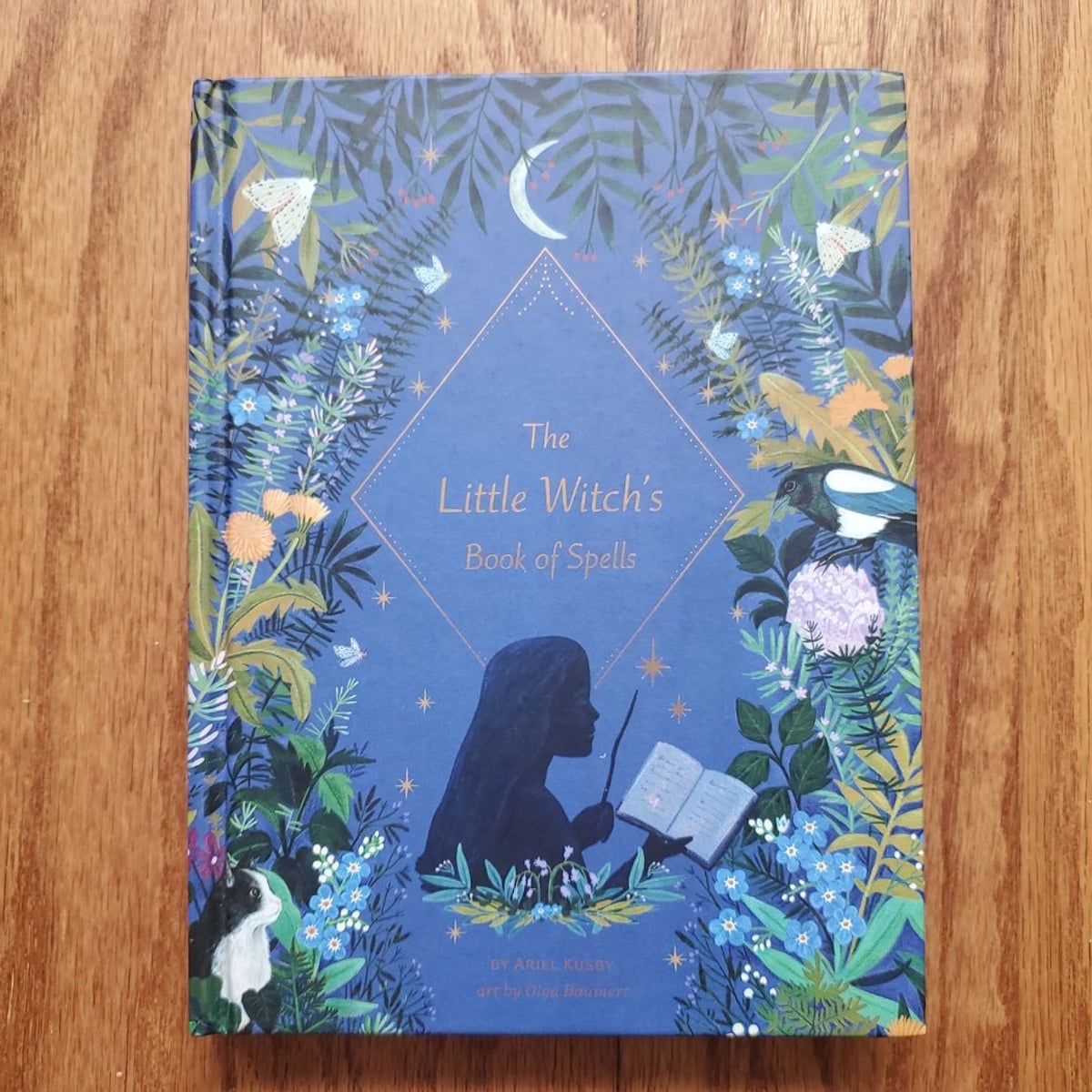The Little Witch's Book of Spells by Ariel Kusby