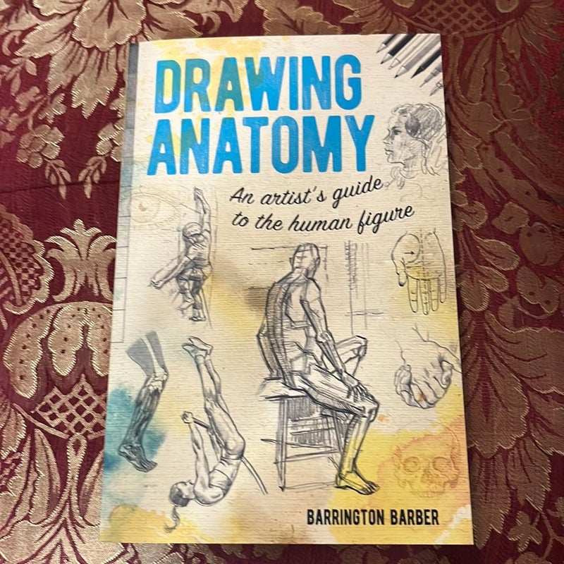 Drawing Anatomy