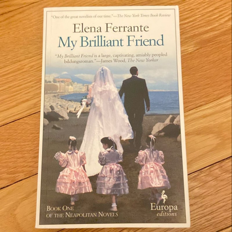 My Brilliant Friend