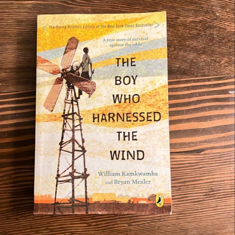 The Boy Who Harnessed the Wind