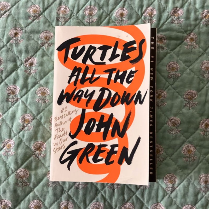 Turtles All the Way Down