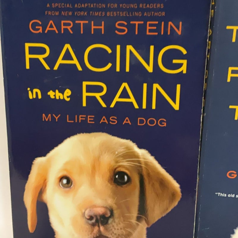 Garth Stein - Art of Racing in the Rain - Adult and Young Reader Pair of Books
