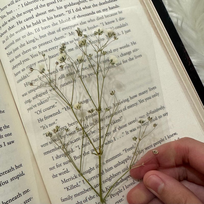 Handmade real baby’s breath bookmark 