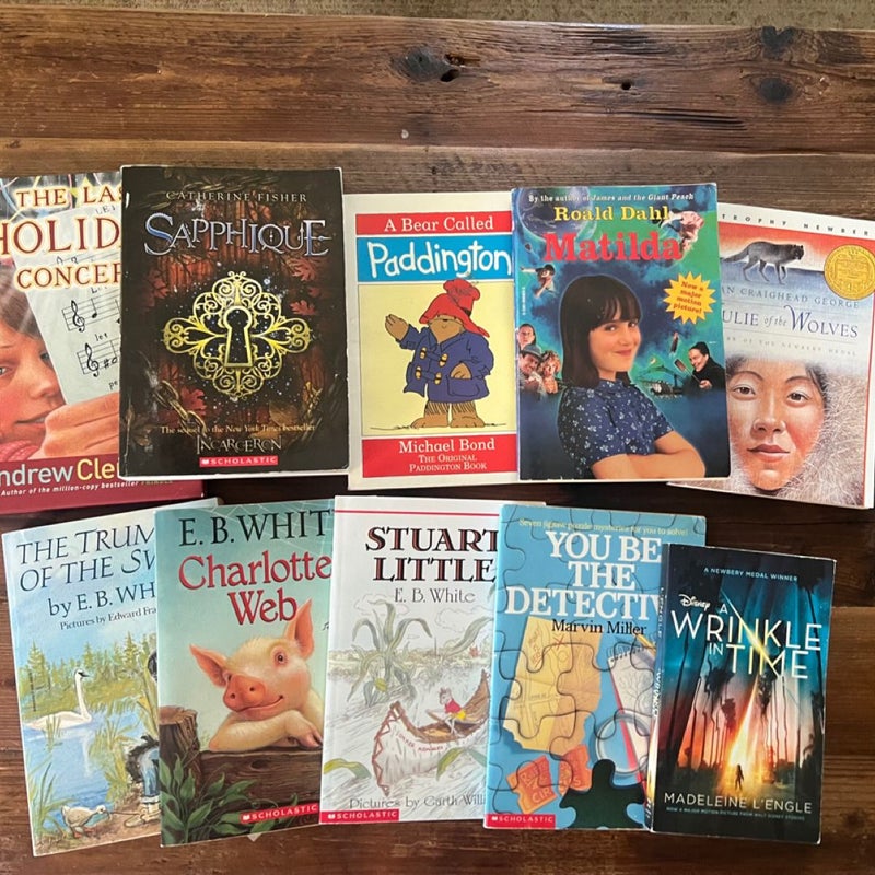 MATILDA - bundle of 10 middle school juvenile fiction chapter books