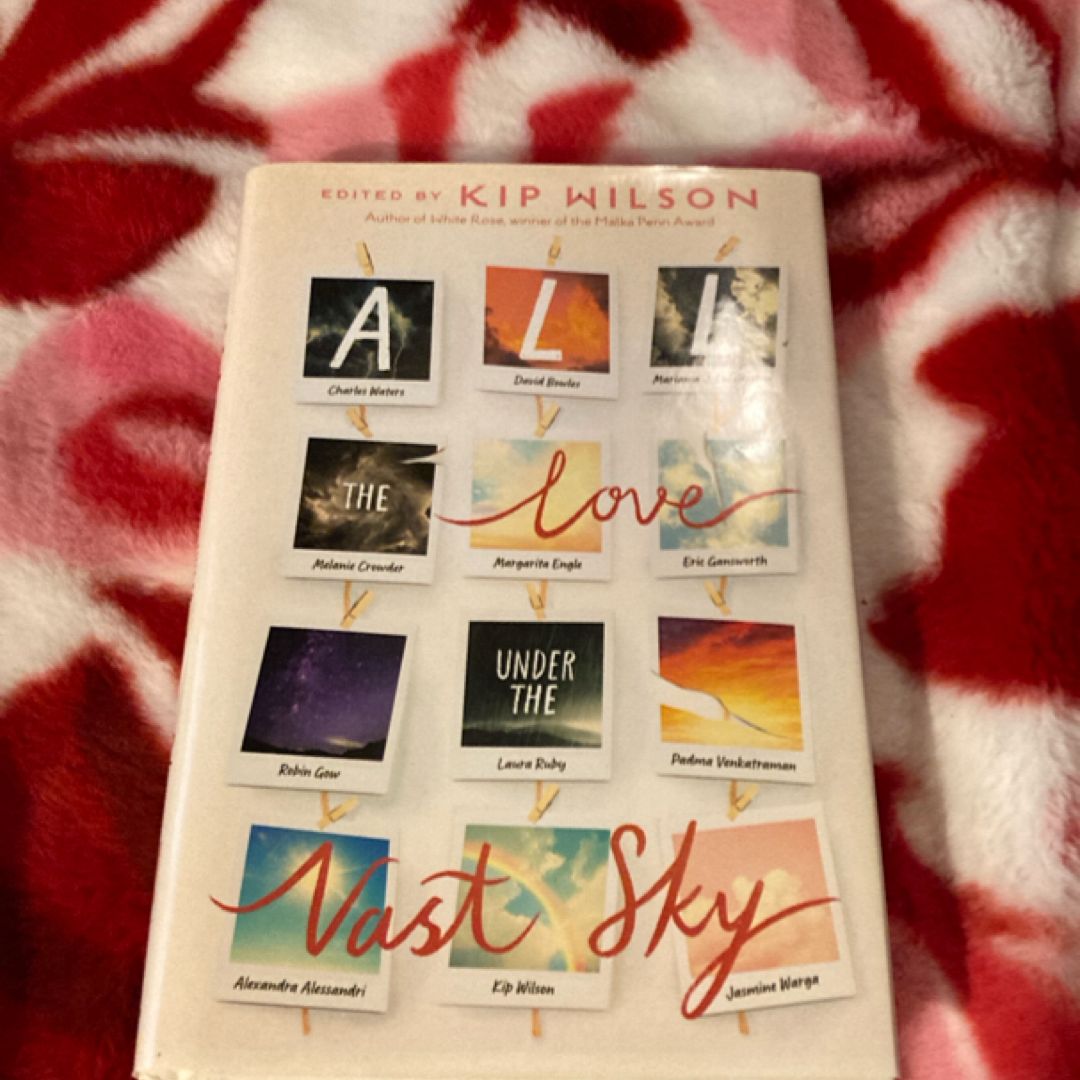 All the Love under the Vast Sky