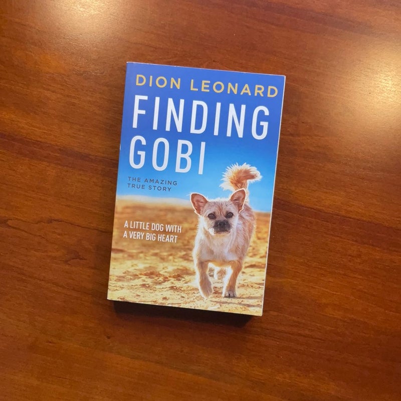 Finding Gobi