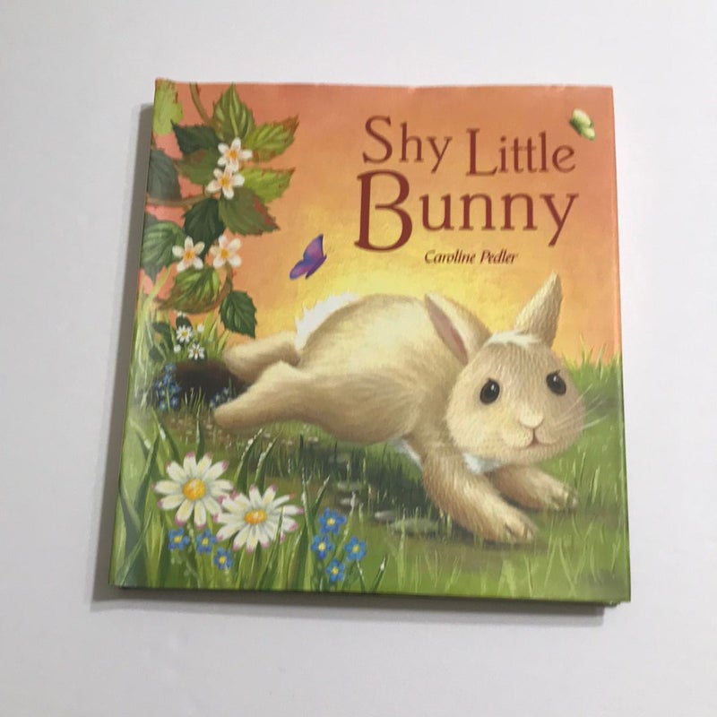 The Shy Little Bunny