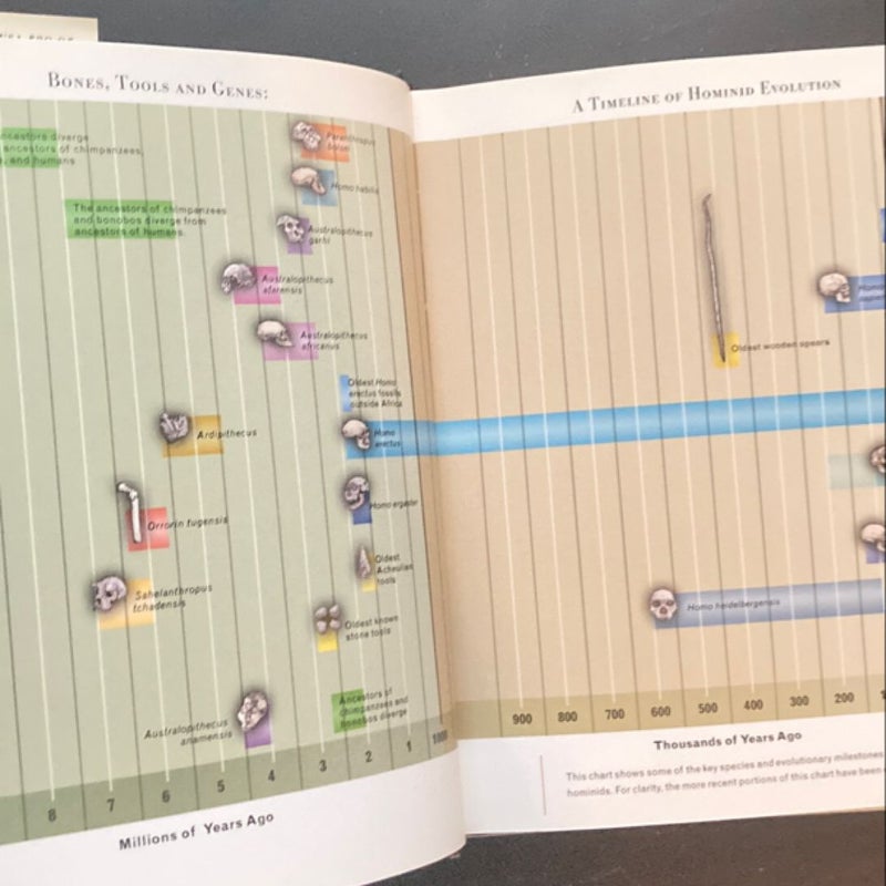 Smithsonian Intimate Guide to Human Origins