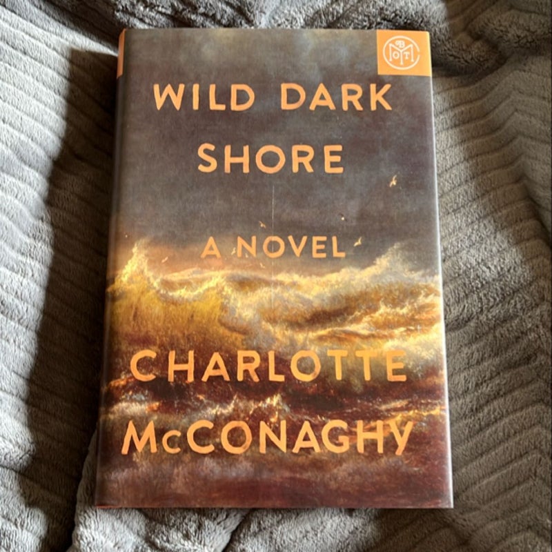 Wild Dark Shore