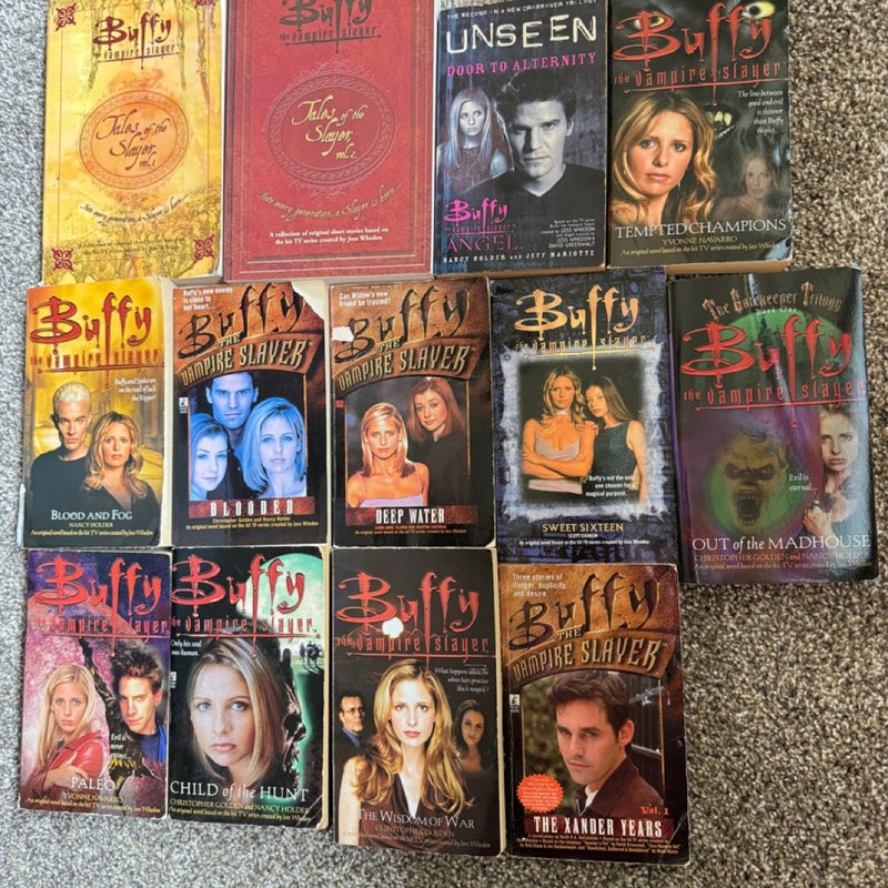 Buffy the Vampire Slayer-book lot of 13