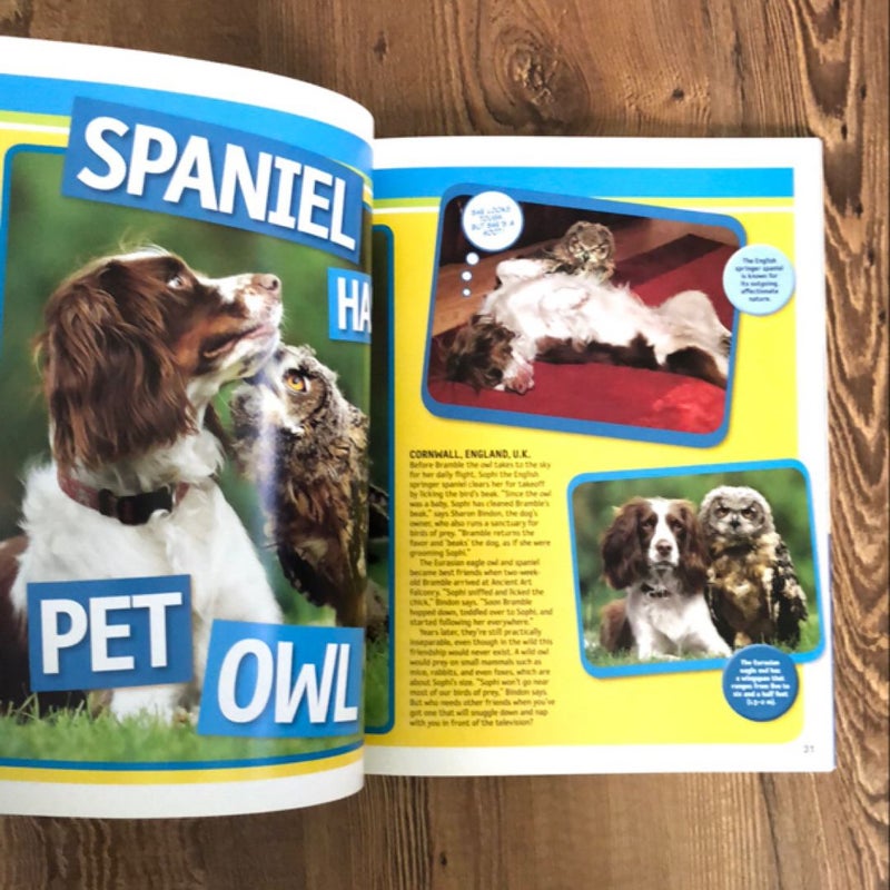 National Geographic Kids 125 True Stories of Amazing Pets