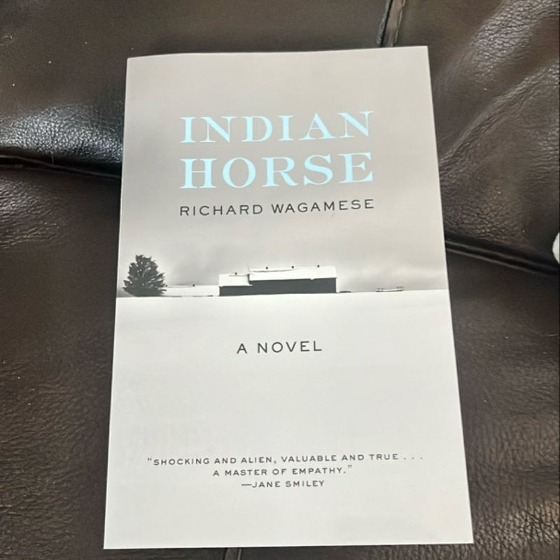 Indian Horse