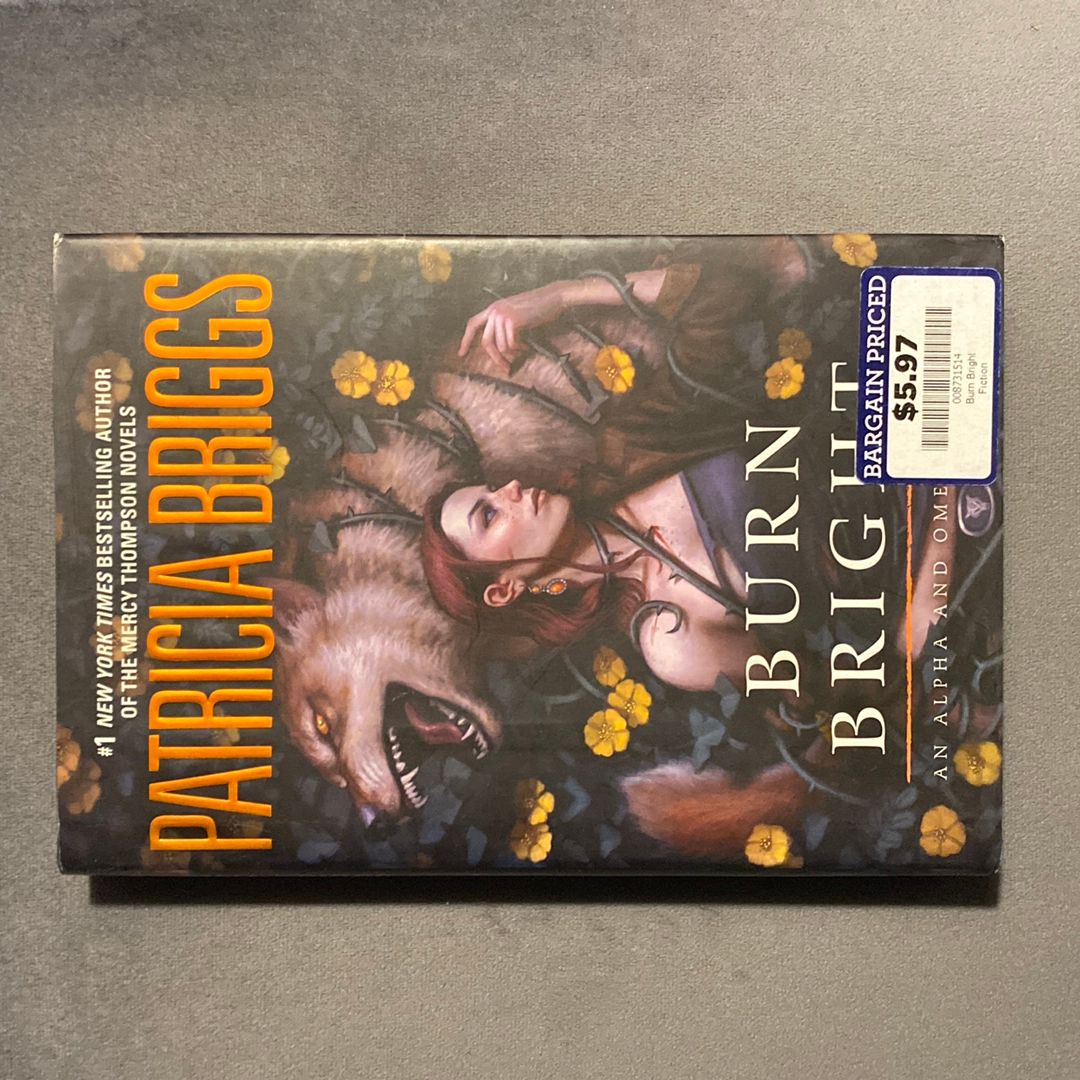 Burn Bright book cover