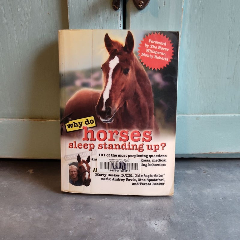 Why Do Horses Sleep Standing Up?