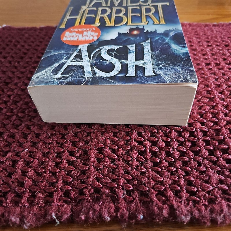 Ash: A David Ash Novel