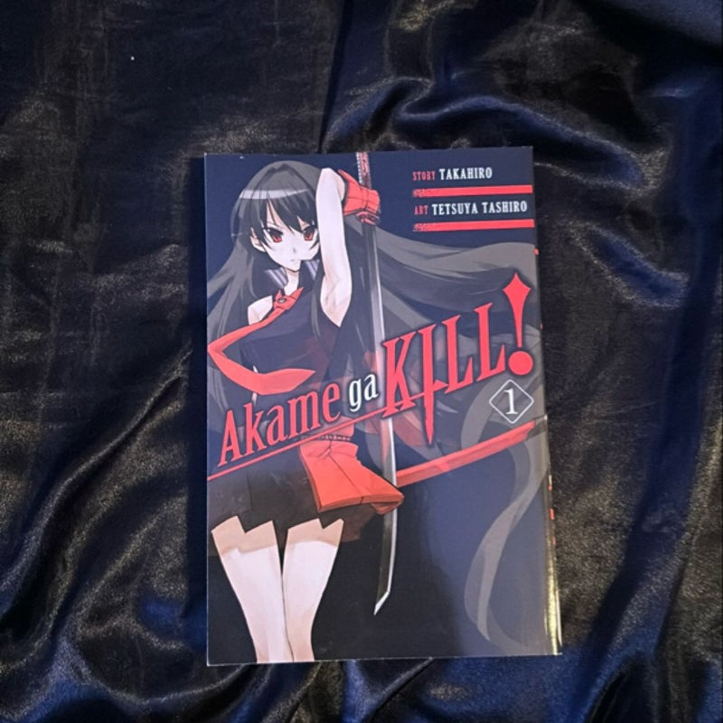 Akame Ga KILL!, Vol. 1