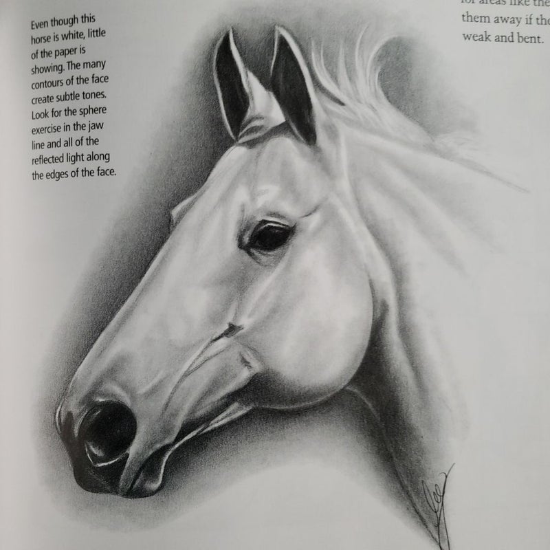 Draw Horses