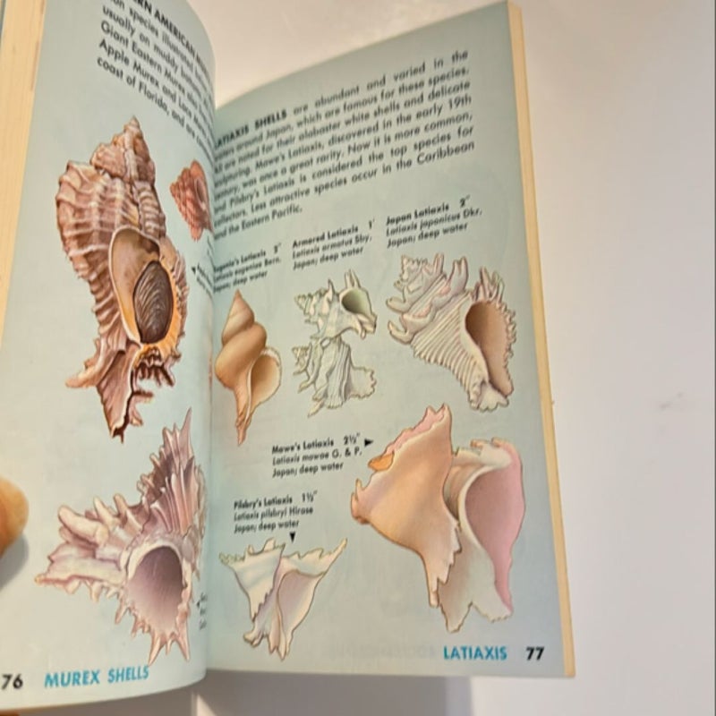 Seashells of the world