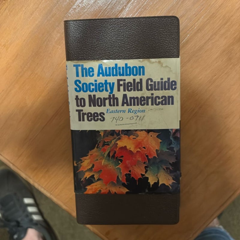 National Audubon Society Field Guide to North American Trees--E