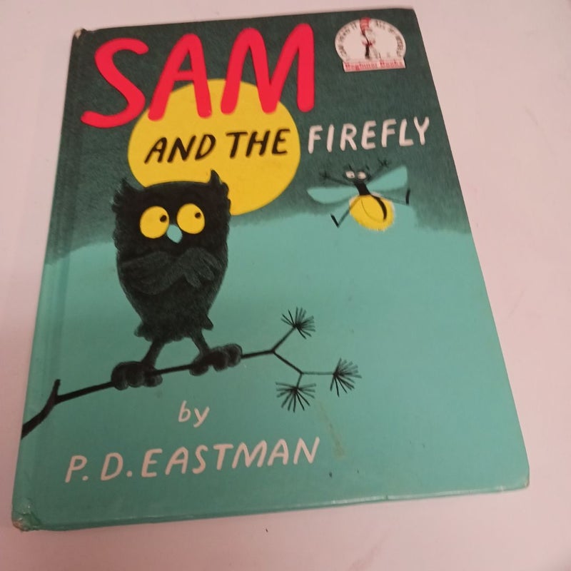 Sam and the Firefly