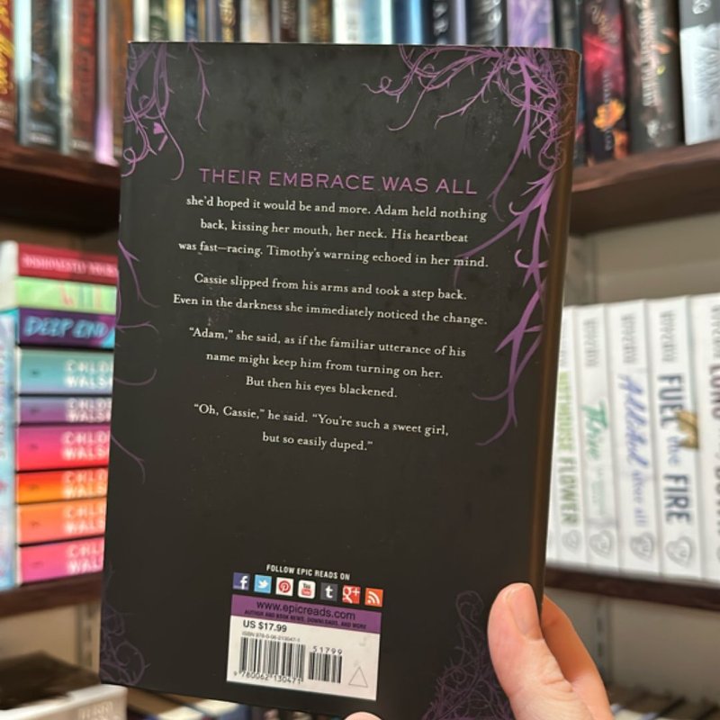 The Secret Circle: the Temptation