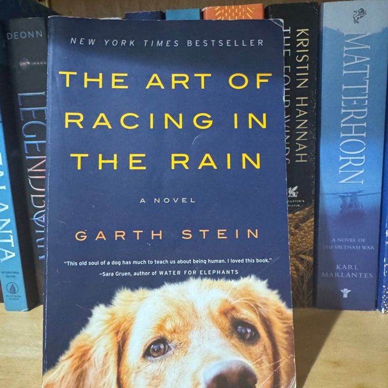 The Art of Racing in the Rain